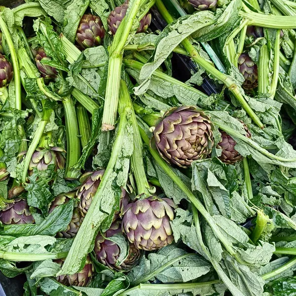 carciofi romaneschi