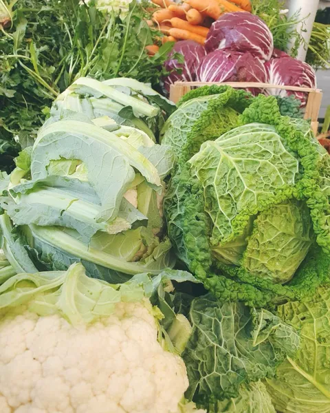cassetta di verdure