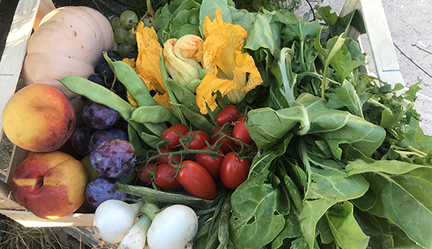 Frutta e verdura consegna a domicilio Roma