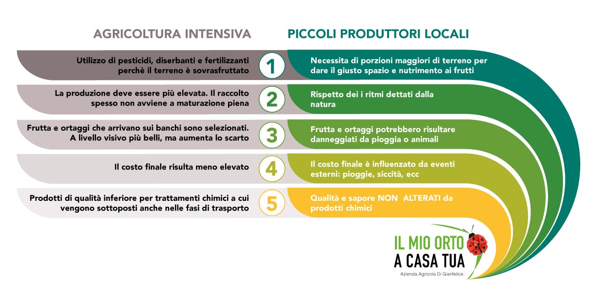 Pro e contro agricoltura intensiva e piccoli produttori locali