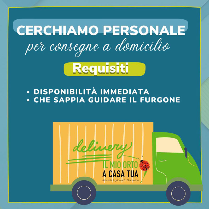 cercasi personale consegne Roma
