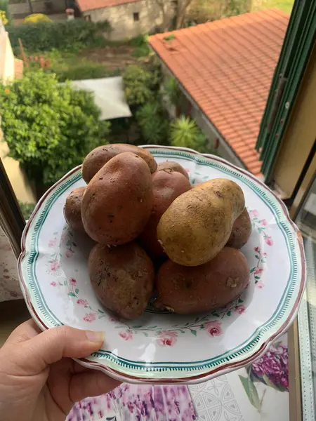 patate