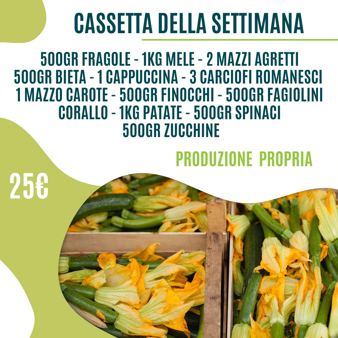 Cassette frutta e verdura Roma