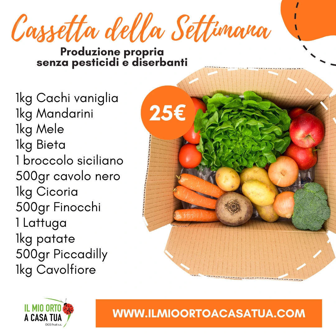 Cassette frutta e verdura in offerta