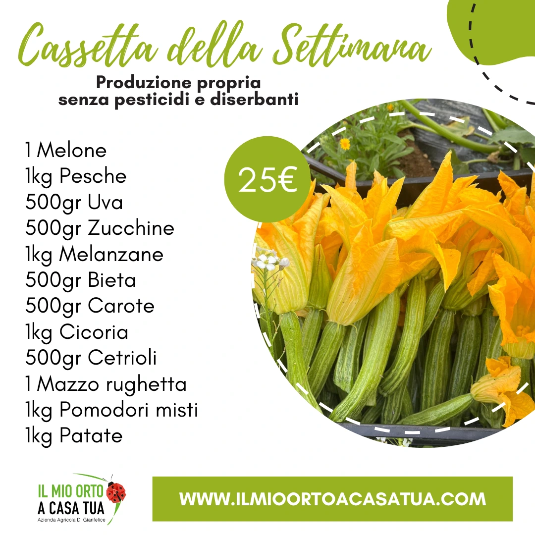 Cassette frutta e verdura in offerta