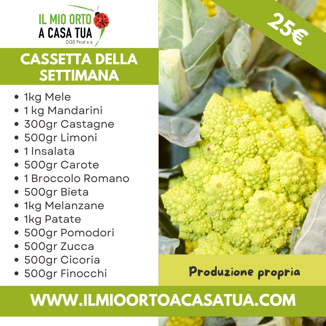 Cassette frutta e verdura in offerta