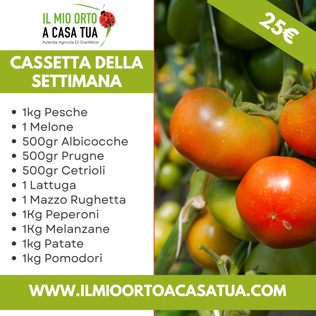 Cassette frutta e verdura in offerta