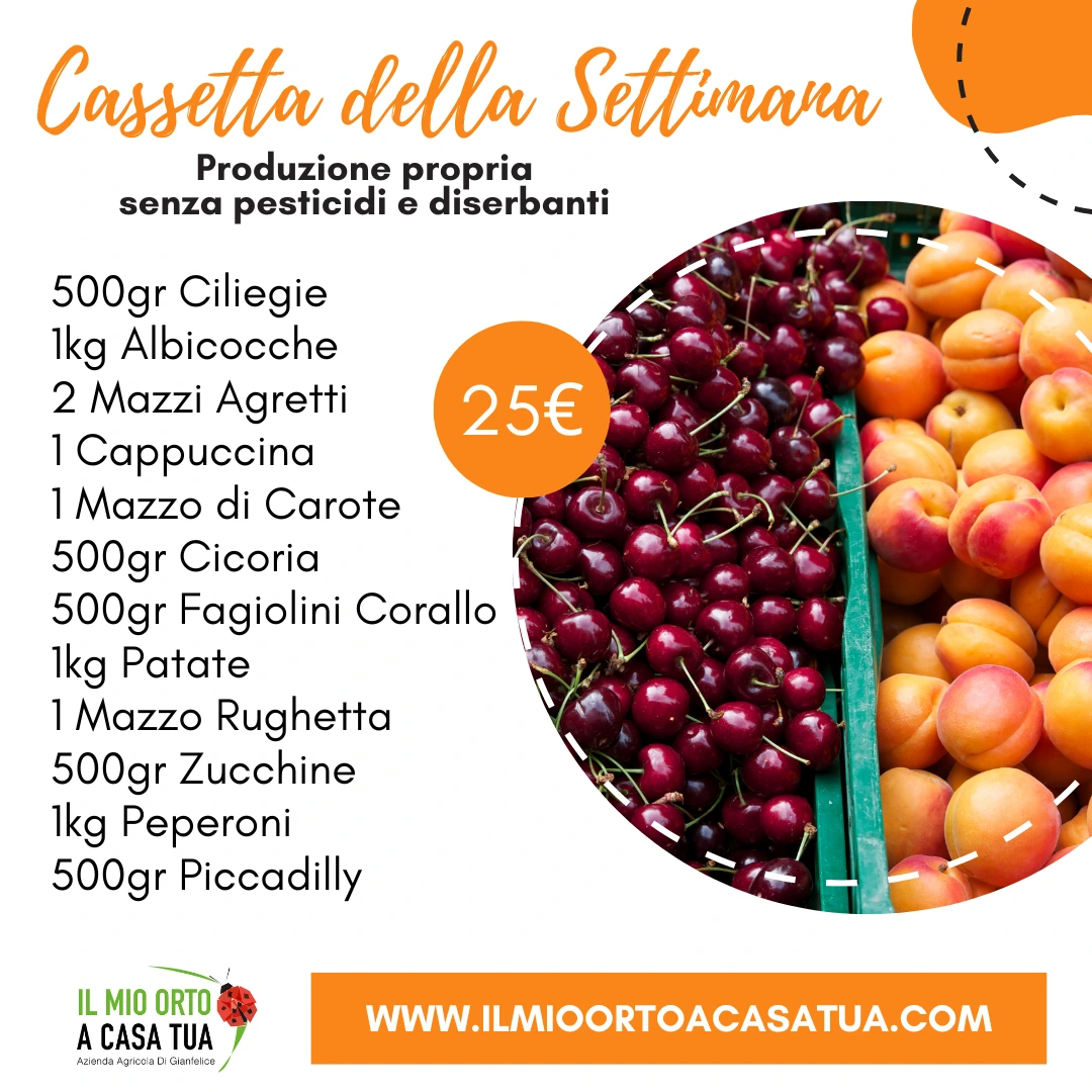 Cassette frutta e verdura Roma