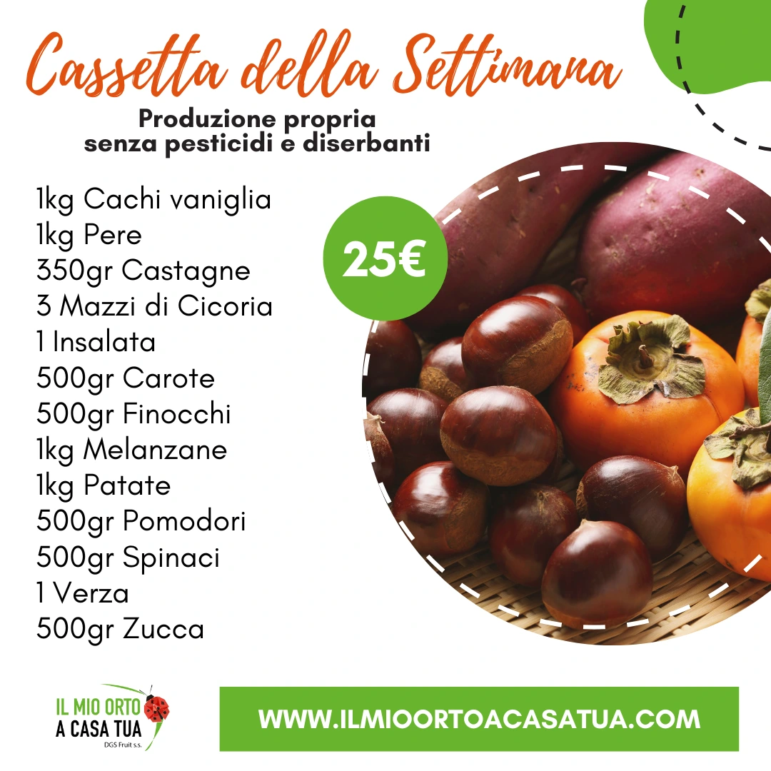 Cassette frutta e verdura in offerta