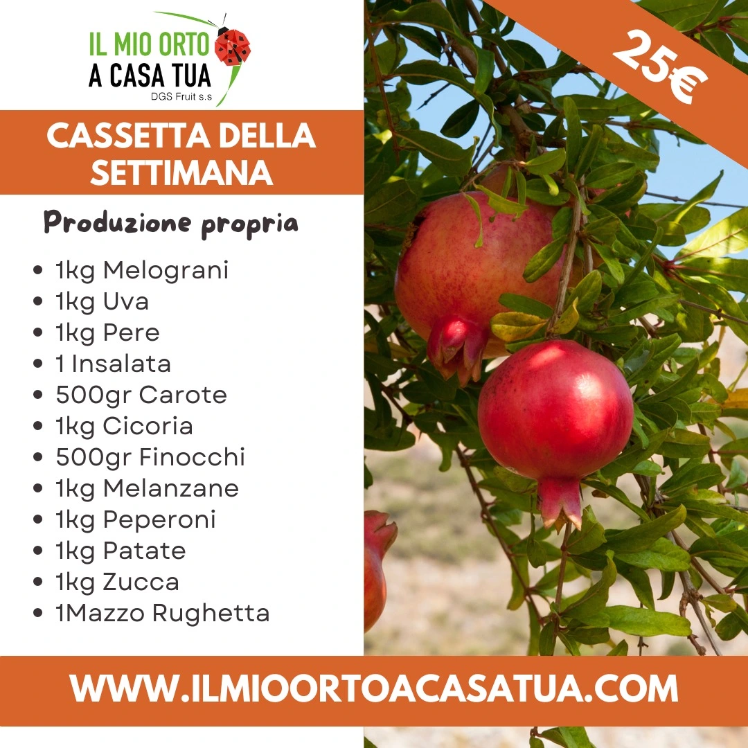 Cassette frutta e verdura in offerta