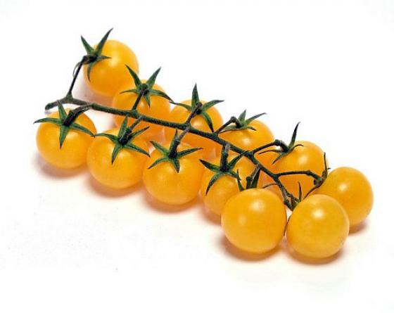 pomodoro ciliegino giallo