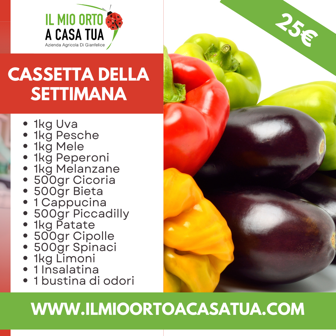 Cassette frutta e verdura Roma