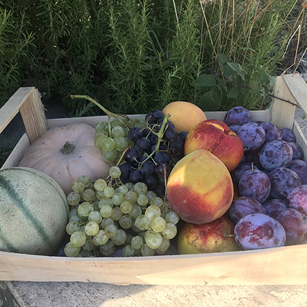 Cassetta di Frutta 5kg - Consegna a domicilio Roma