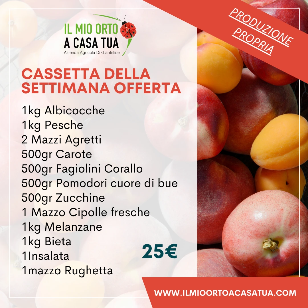 Cassette frutta e verdura Roma