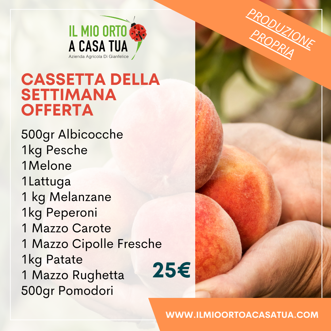 Cassette frutta e verdura in offerta