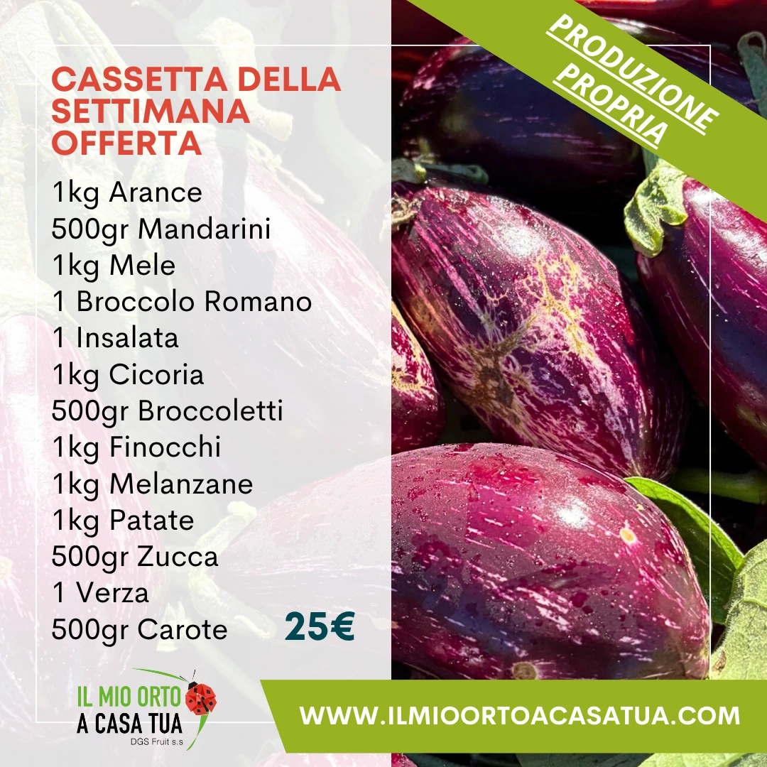 Cassette frutta e verdura in offerta