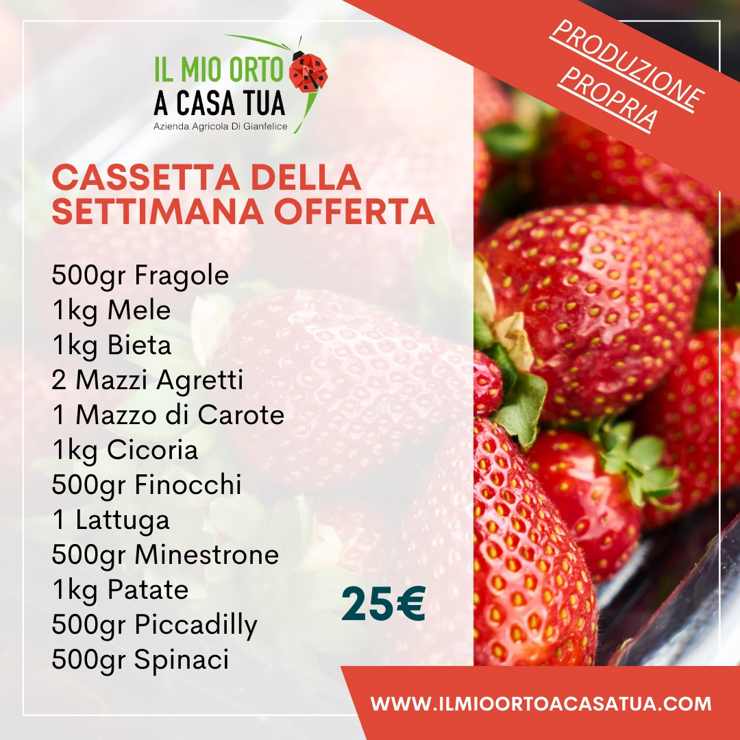 Cassette frutta e verdura Roma