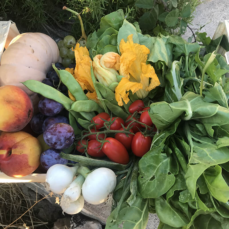 Cassetta di Frutta e verdura 11 kg a domicilio Roma