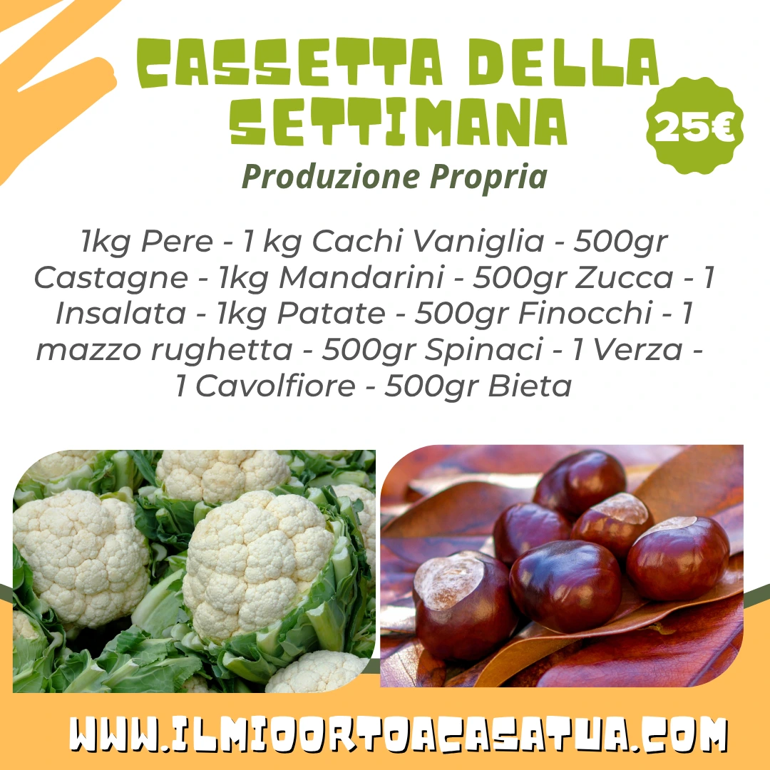 Cassette frutta e verdura in offerta