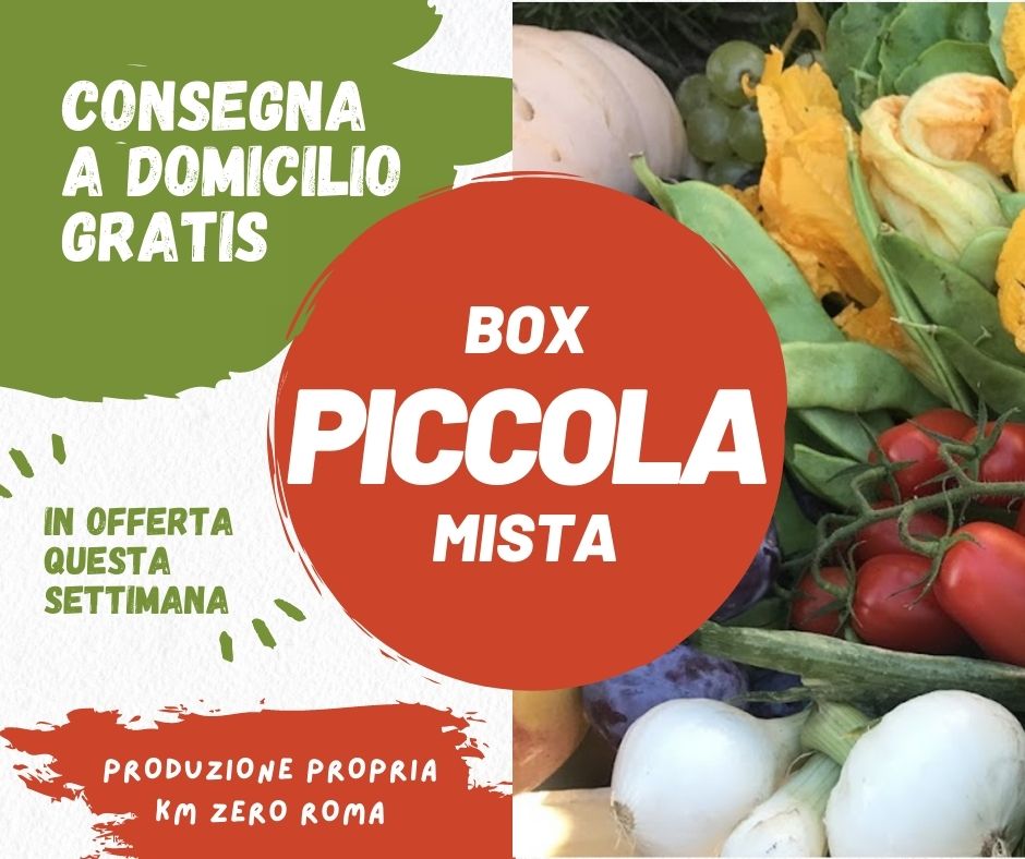 Cassetta Frutta e Verdura a domicilio Roma