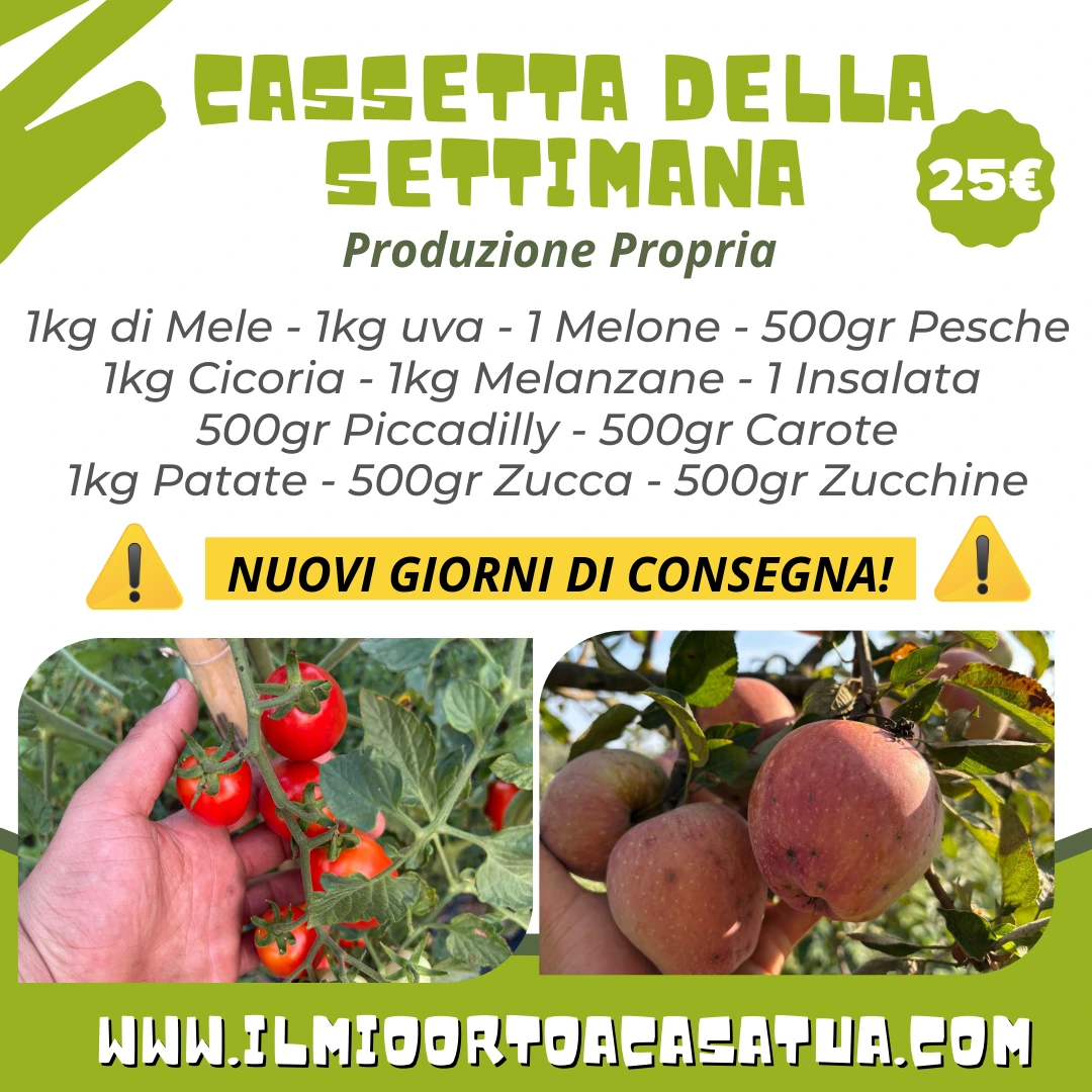 Cassette frutta e verdura in offerta