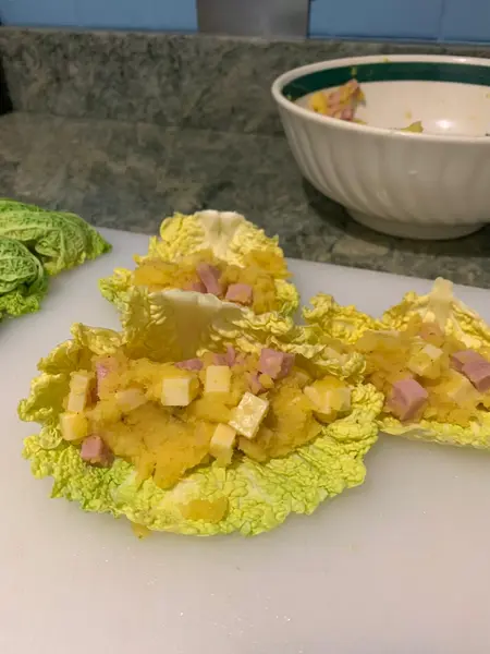 ripieno involtini di verza