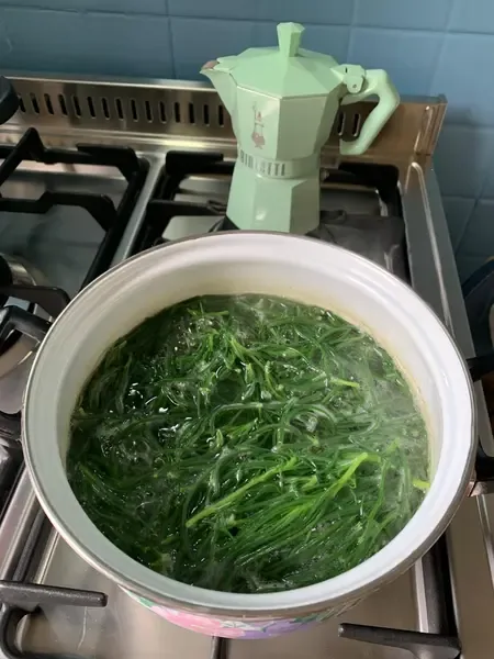 bollire gli agretti