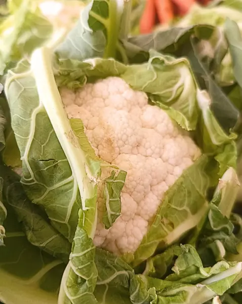 Cavolo bianco (cavolfiore)