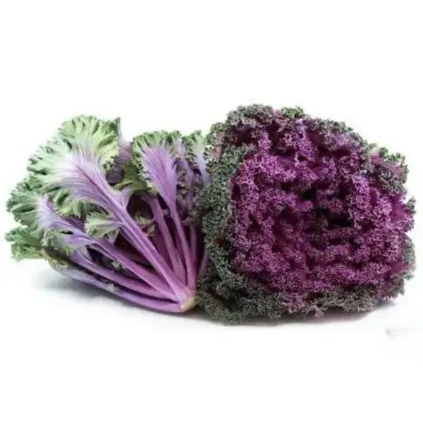 Cavolo Kale