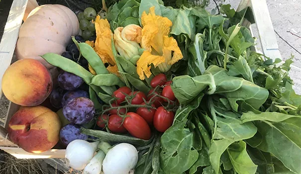Cassette di frutta e verdura pronte per la consegna a domicilio a Roma