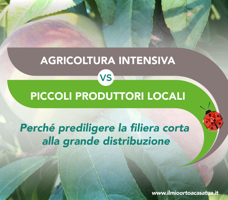 Agricoltura intensiva vs aziende agricole. Grossisti vs produttori locali. Risparmio vs qualità.