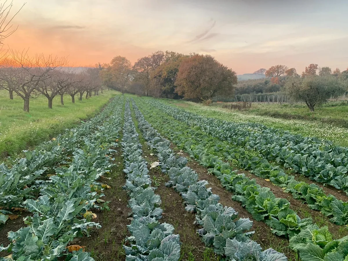 Azienda agricola con orti e frutteti a Roma