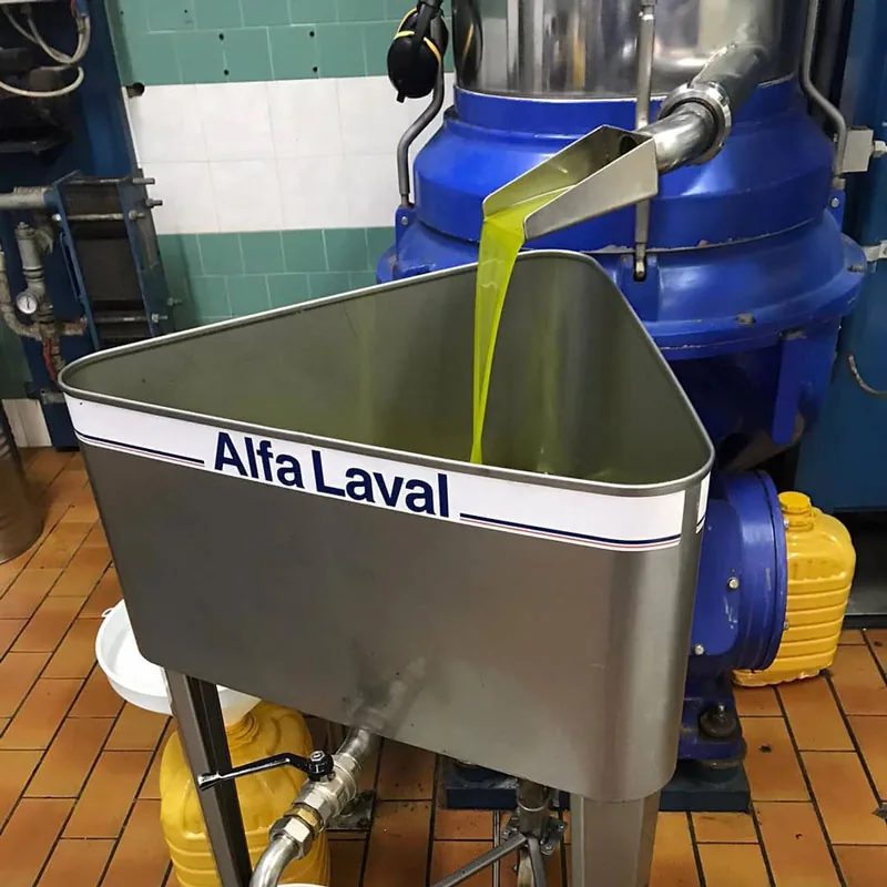 Olio Extravergine d'oliva della Sabina 2022/2023