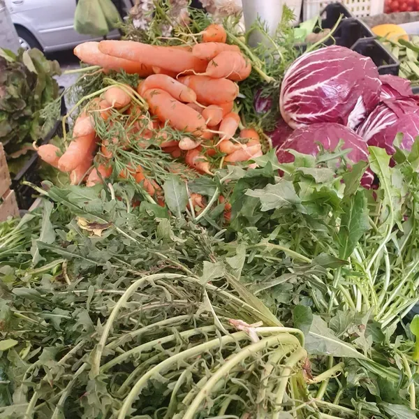 Verdure di Stagione: Una guida completa alle produzioni in Italia
