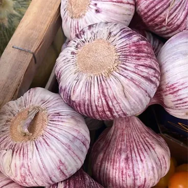 Aglio Fresco