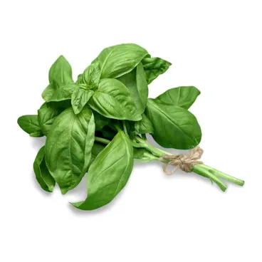 Basilico