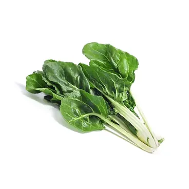 Bieta