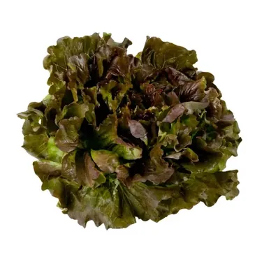 Insalata Canasta