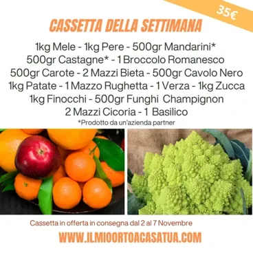 Cassetta Grande Della Settimana