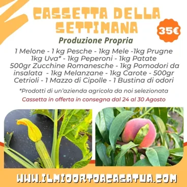 Cassetta Grande Offerta Settimana