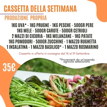 Cassetta Grande Della Settimana