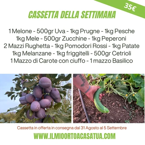 Cassetta Grande Offerta Settimana