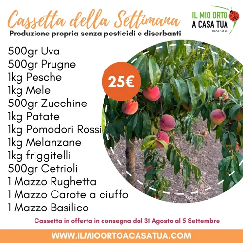 Cassetta Della Settimana