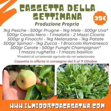 Cassetta Grande Della Settimana