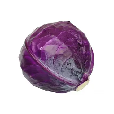 Cavolo Viola