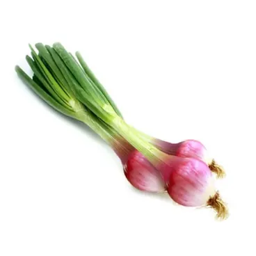 Cipolle di tropea fresche