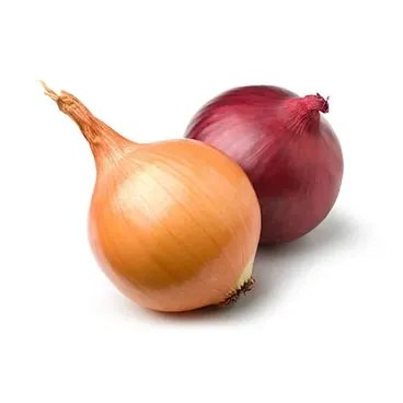 Cipolle Secche