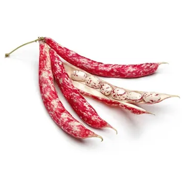Fagioli