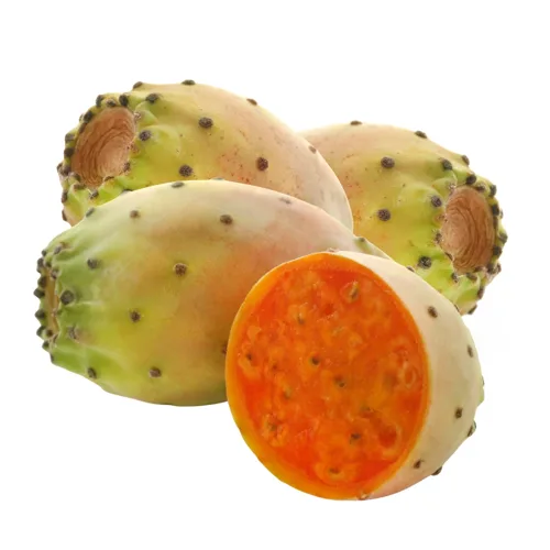 fichi d india