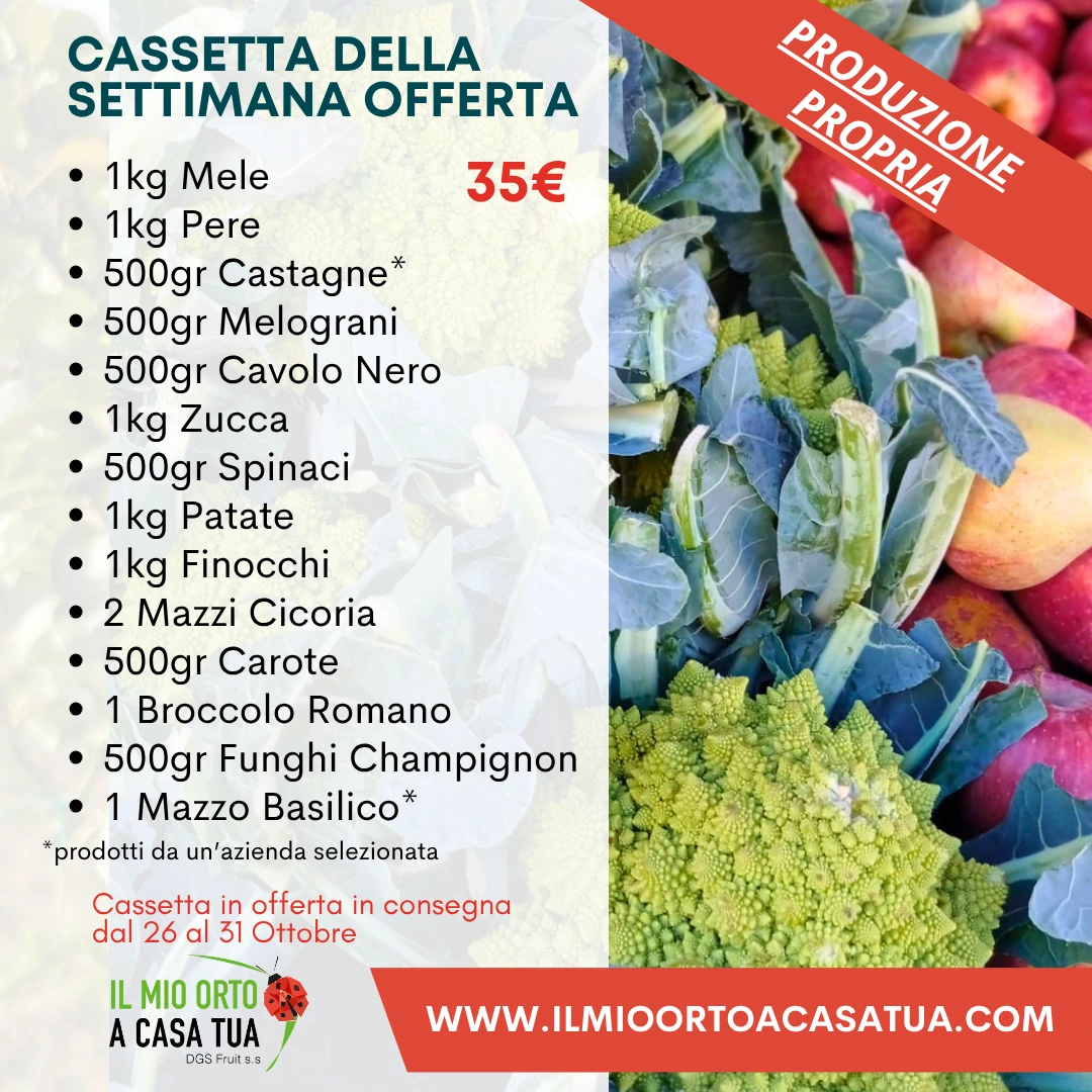 Cassetta Grande Della Settimana
